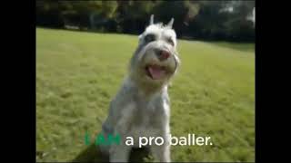 Iams ProActive Health Senior Plus Commercial 2012 [upl. by Nonez]