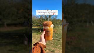 APPLE CIDER SLUSHY😍🍎🍁 tennessee applecider fall autumn travel bucketlist [upl. by Lipfert]