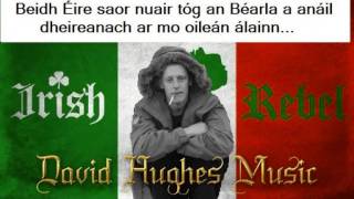 Rifles of the IRA  David Hughes  Irish REBEL music [upl. by Evelina]