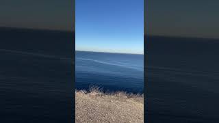 Palos Verdes Nov 2024 [upl. by Quar]