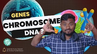 Basics of Genetics Genes Chromosomes and DNA Explained  The Biology Guru 🌱🔬 [upl. by Harol893]