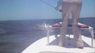 Tarpon Fly Fishing  Crazy Jumping Fish [upl. by Munson843]