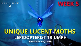 All Unique Lucent Moths WEEK 5 Lepidopterist Triumph  Destiny 2 PS5 [upl. by Hax]