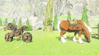 Master Cycle Zero Vs Epona Whos Faster Zelda Breath of the Wild [upl. by Sera667]