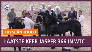 HENGSTENKEURING Huldiging voor Jasper 366 [upl. by Nairdna]