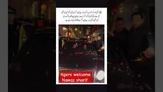 welcome back chor nawazsharif pmln pti viralshort [upl. by Acinelav]