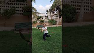 Broadsword training katana sword slashes by Swordsmaster viral video shorts trendingvideo [upl. by Arocahs]