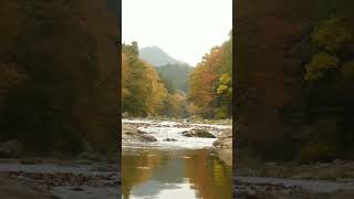 Autumn river sounds autumn river [upl. by Anegue820]