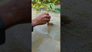 Unique Fishing hand Fishing Challenge Video 😲fishingshortsviralshort [upl. by Aneem131]