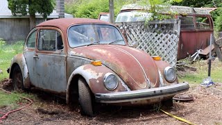 MUSTIE1 amp I  Forgotten Vw Beetle Rescue amp Vw Bus Found [upl. by Lemcke345]