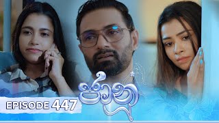 Jaanu  Episode 447  20241111  ITN [upl. by Yssac]