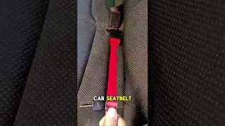 🚗🐶 Keep Your Dog Safe on Every Ride MustHave Car Seatbelt for Dogs [upl. by Nnaillij]