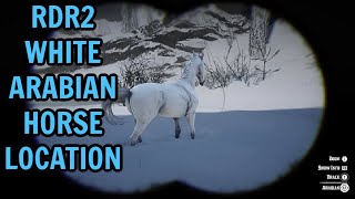 RDR2 WHITE ARABIAN HORSE LOCATION [upl. by Wernda]