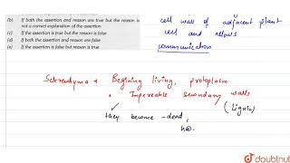 Assertion  Sclerenchyma cells do not have plasmodesmata [upl. by Tedmund273]