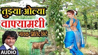 TUJHYA OLYA WAFYAMADHI  MASTI LOKGEET BY MILIND SHINDE  MASTI SONGS [upl. by Nnaeirual833]