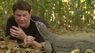 Monitor Lizard LICKS Steves Eye  Deadly 60  BBC Earth [upl. by Breeze]