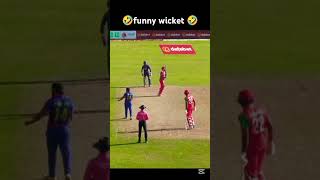 Nepal vs oman  funny wicket funnyshorts comedy wicket [upl. by Aksoyn18]