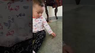 Baby want to play grasshopper viral challenge [upl. by Auqenes]