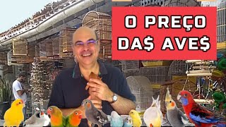 Quanto custa cada ave   PREÇO das AVES na FEIRA  Quanto custa cada ave   passaros [upl. by Ecirehs379]