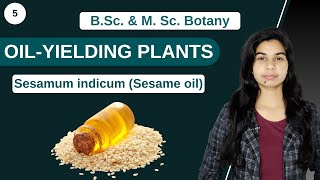 Economic Botany  OILYIELDING PLANTS  Sesamum indicum Sesame oil  B Sc amp M Sc [upl. by Ecirehc871]