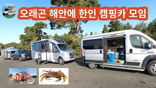 Bandon Oregon 밴든 오래곤 해안 최고의 경치 quot던지네스크랩quot 많는곳 한인 캠핑카들이 모였습니다 [upl. by Sosthena]