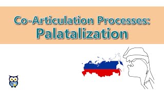 CoArticulation Processes Palatalization [upl. by Averill362]