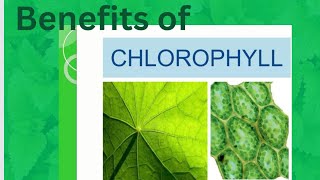 Chlorophyll Benefits and More [upl. by Holman]