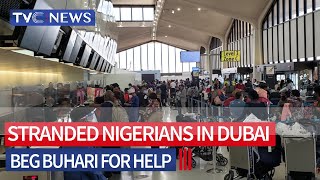 WATCH VIDEO Stranded Nigerians In Dubai Beg Buhari For Help [upl. by Slinkman]