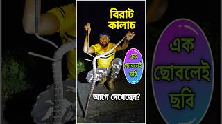 কালাচ সাপ থেকে বাঁচবার উপায় জানুন  Krait Bite Remedy  Karat Saamp snakevideo venomous viral [upl. by Ahearn]