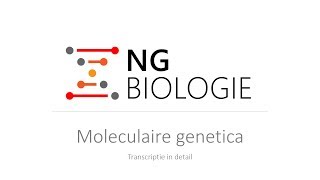 Moleculaire genetica  transcriptie in detail  VWO [upl. by Nekciv553]