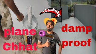 new damp proof waterproofing Chhat and Asian painting New TZ painting new woodfunny [upl. by Ahsyen]