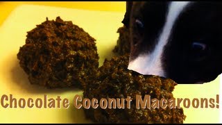 Chocolate Coconut Macaroons  Five Minute Pastry School [upl. by Madel825]