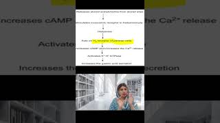 MOA of histamine antagonist histamine shorts pharmacology [upl. by Rodgers]