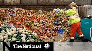 Canadians get creative in solving food waste problem [upl. by Lehet191]