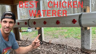 The best chicken watering system  Detailed video [upl. by Brita]