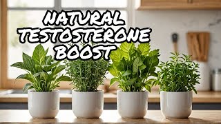 5 Powerful Herbs to Boost Testosterone [upl. by Arikahs]