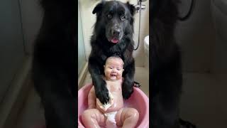 The dog is bathing the baby it’s amazing [upl. by Eat]