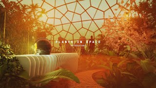 plantsinspace  a vr experience [upl. by Lot]