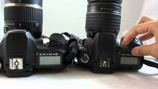 Canon EOS 20D VS Canon EOS 40D DSLR Camera Comparison [upl. by Cormick]