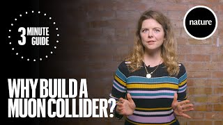 Why build a muon collider a three minute guide [upl. by Eceinhoj]