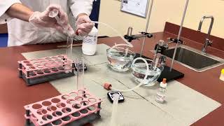 Concentration and Reaction Rate Prac [upl. by Iak]