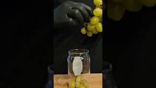 Green grapes Mojito easyrecipe mojito shorts asmr [upl. by Mcfarland971]