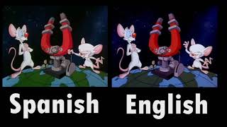 Animaniacs Intro Spanish And English Comparation [upl. by Auberta]