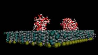 Water molecules on the hydrophobic surface [upl. by Wiatt364]