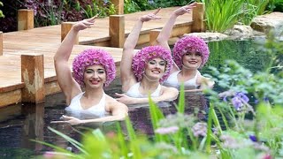 Take home trends from RHS Malvern Spring Festival chelseaflowershow gardenideas rhsgarden viral [upl. by Nlyak61]