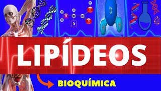 LIPÍDEOS  BIOQUÍMICA ENSINO SUPERIOR  COMPOSTOS ORGÂNICOS  ESTRUTURA TIPOS E FUNÇÕES  LIPÍDEO [upl. by Aikemit]