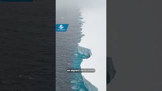 El iceberg más grande del mundo se derrite [upl. by Straub]