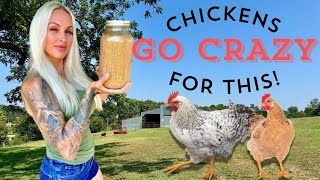 How to Ferment Chicken Feed in 2 Minutes [upl. by Ecineg70]