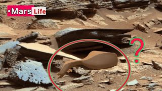 Nasas Mars Perseverance Rover Released Shocking images of mars  Curiosity Mission latest Update [upl. by Farny]