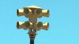 Sterling Colorado Siren Test  Sentry Siren 15V2T [upl. by Neerod740]